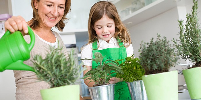 11._herb_garden_with_kids-969d397