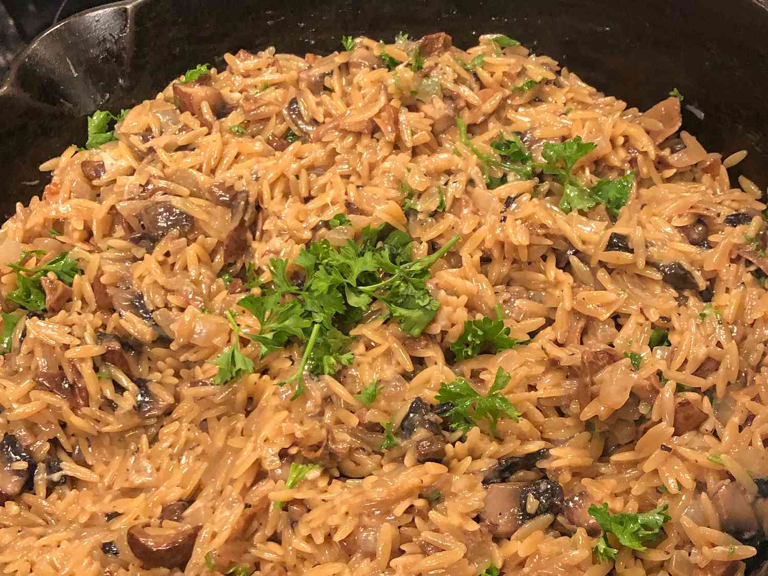 Mushroom Orzo Recipe