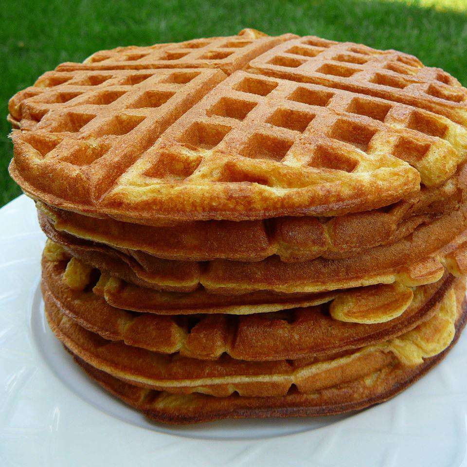 Rich Yogurt Waffles Recipe