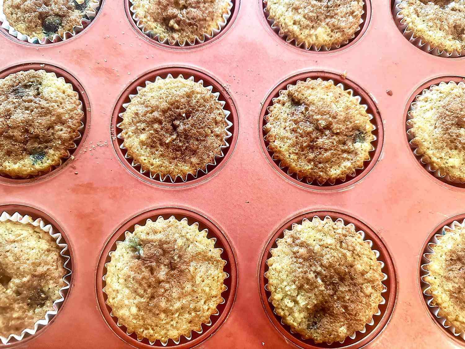 Blueberry Oatmeal Chia Seed Muffins Recipe