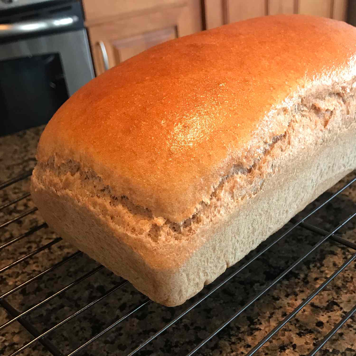 Honey Whole Wheat Bread Recipe