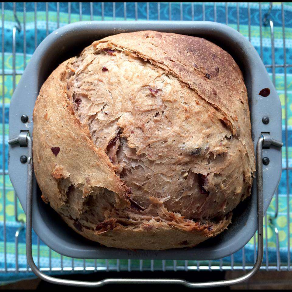 Cranberry Oat Bread Recipe