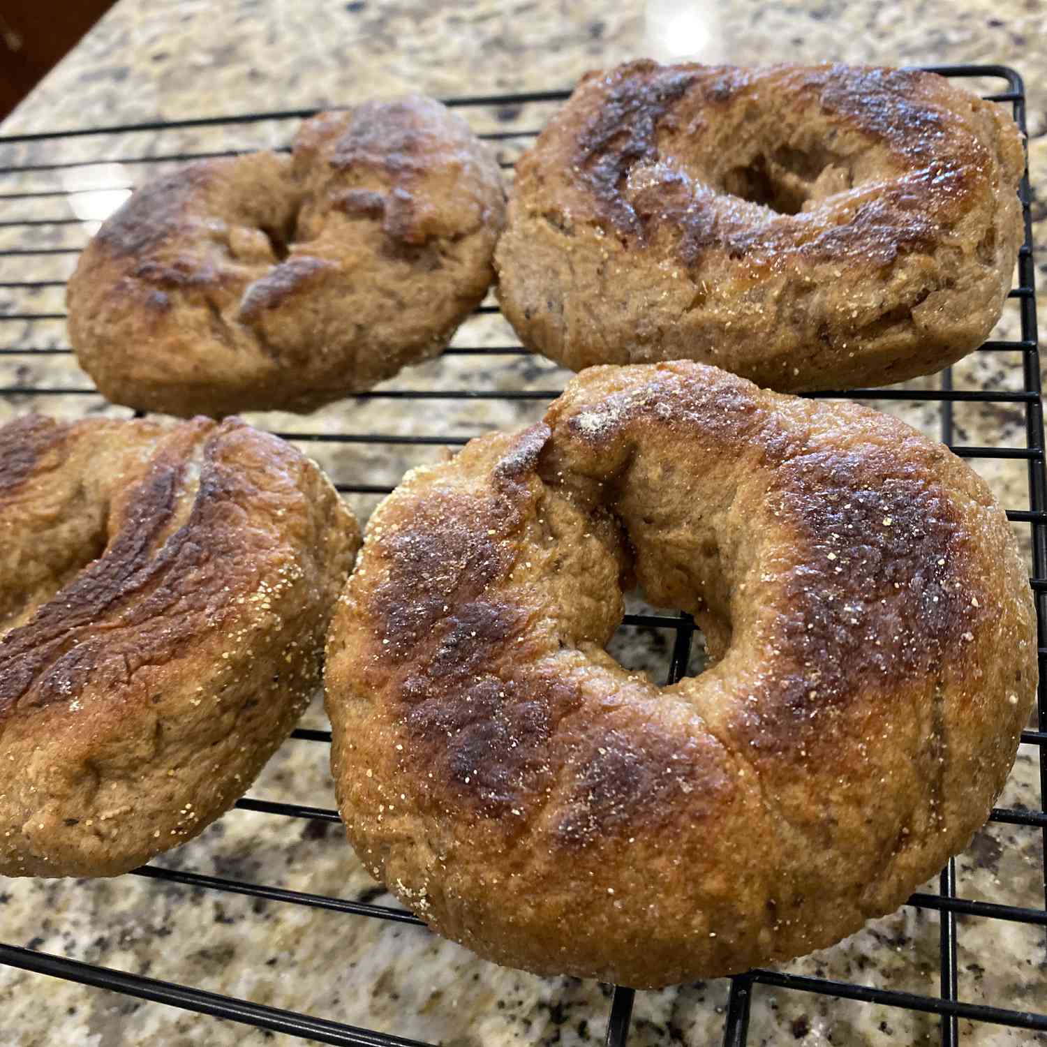 Multigrain Bagels Recipe