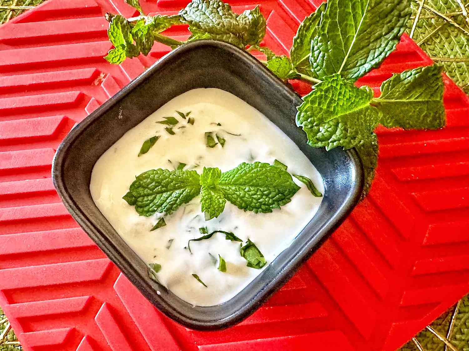 Mint Yogurt Sauce Recipe