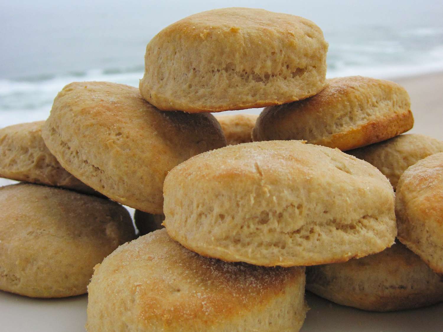 Fluffy Whole Wheat Biscuits Recipe