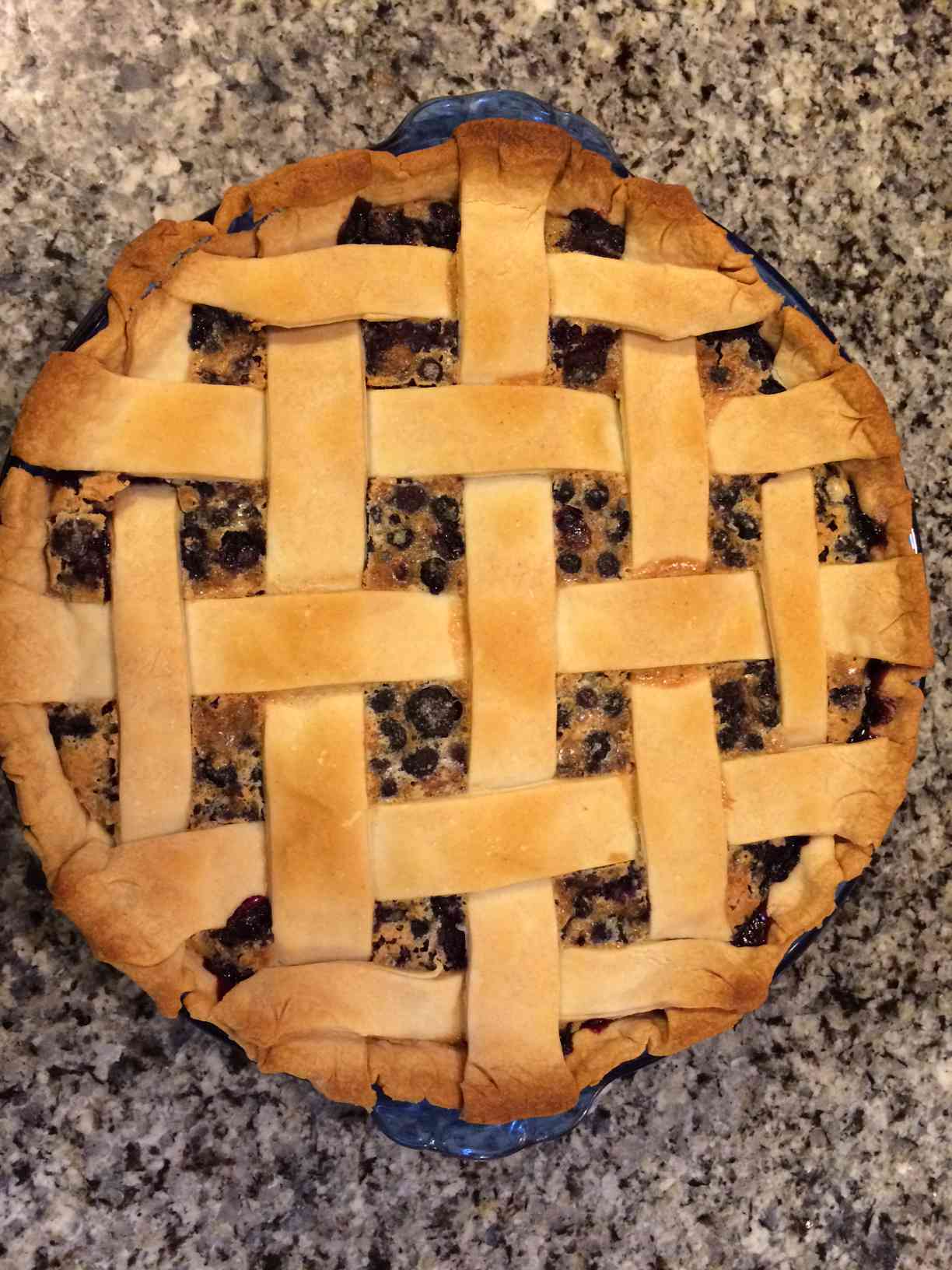 Old-Fashioned Blueberry Custard Pie Recipe