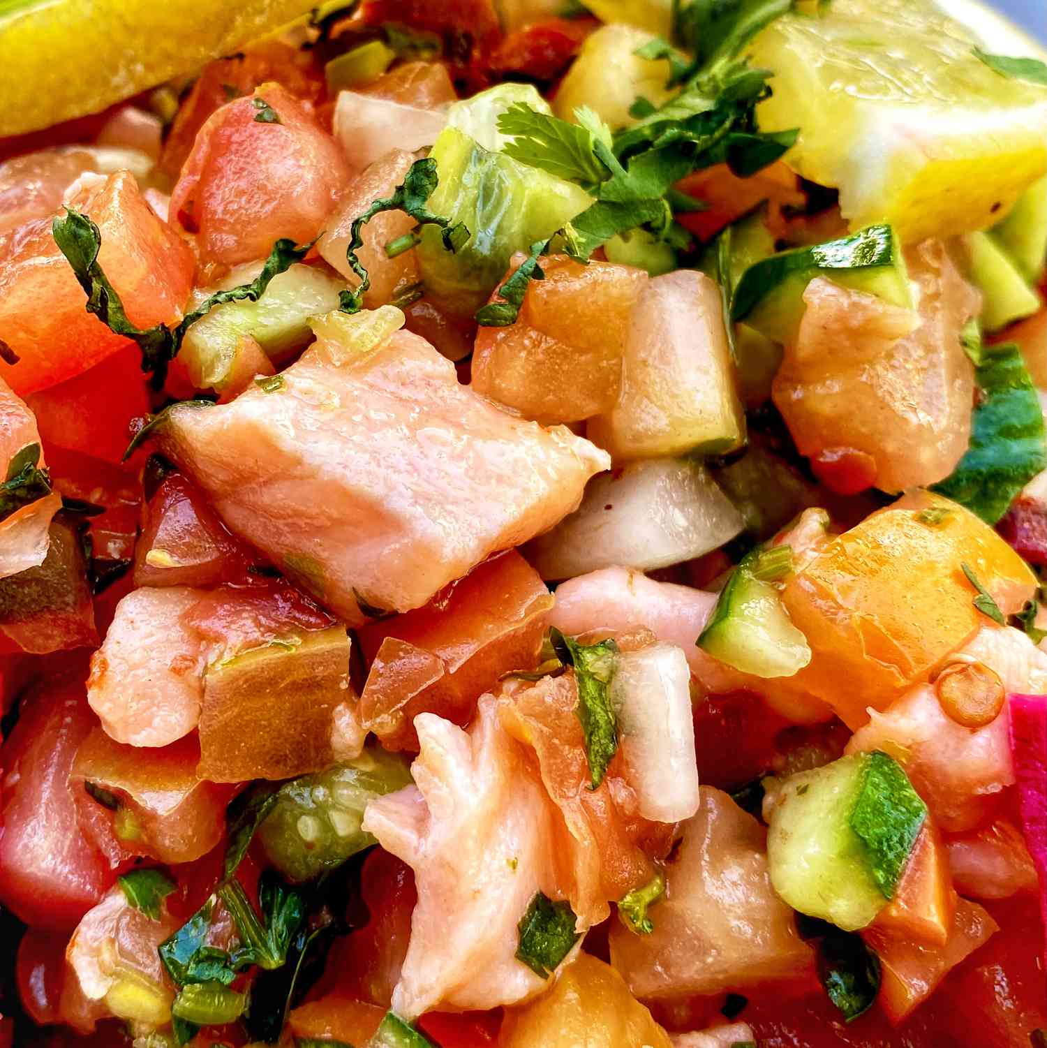 Salmon Ceviche Recipe