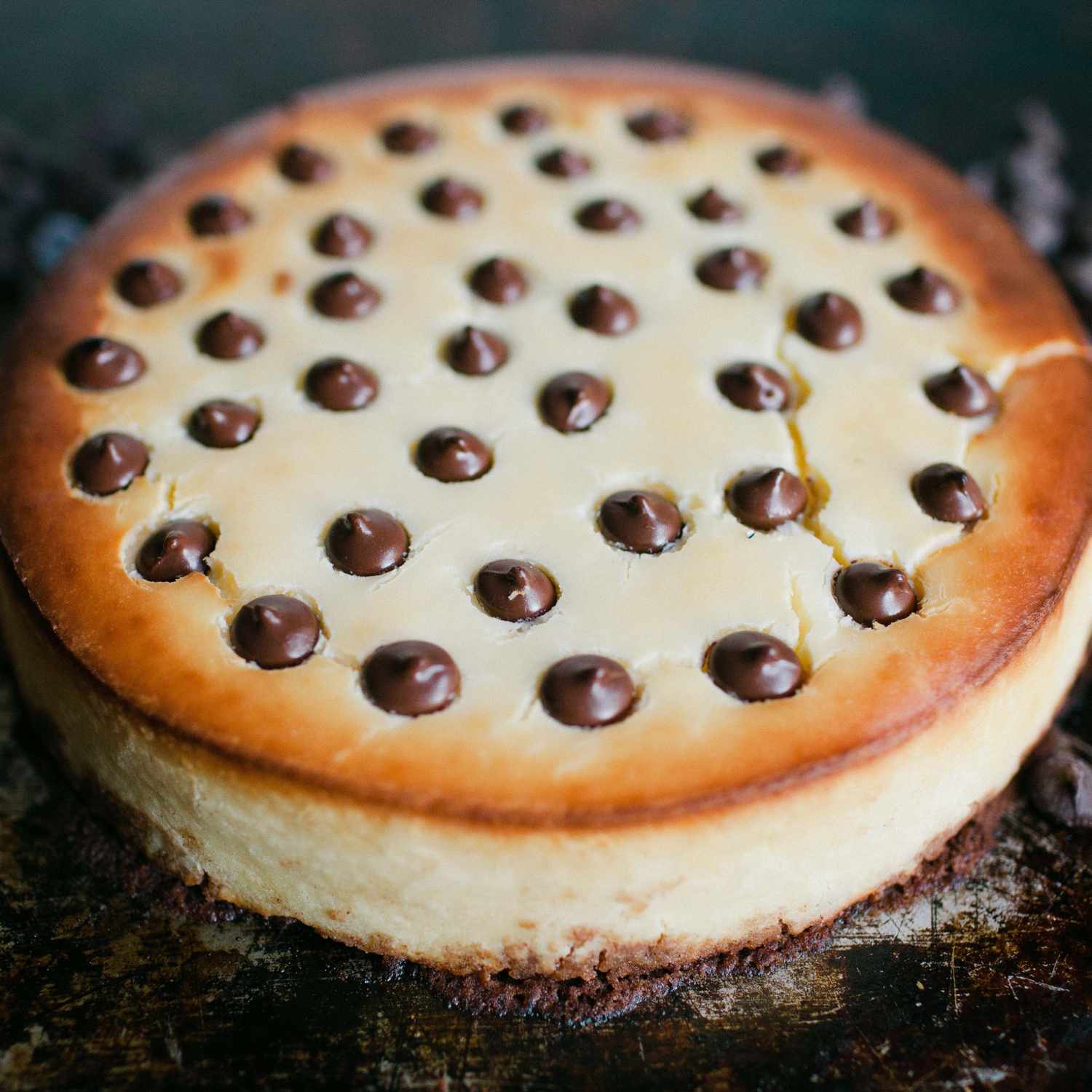 Chocolate Chip Cheesecake Recipe