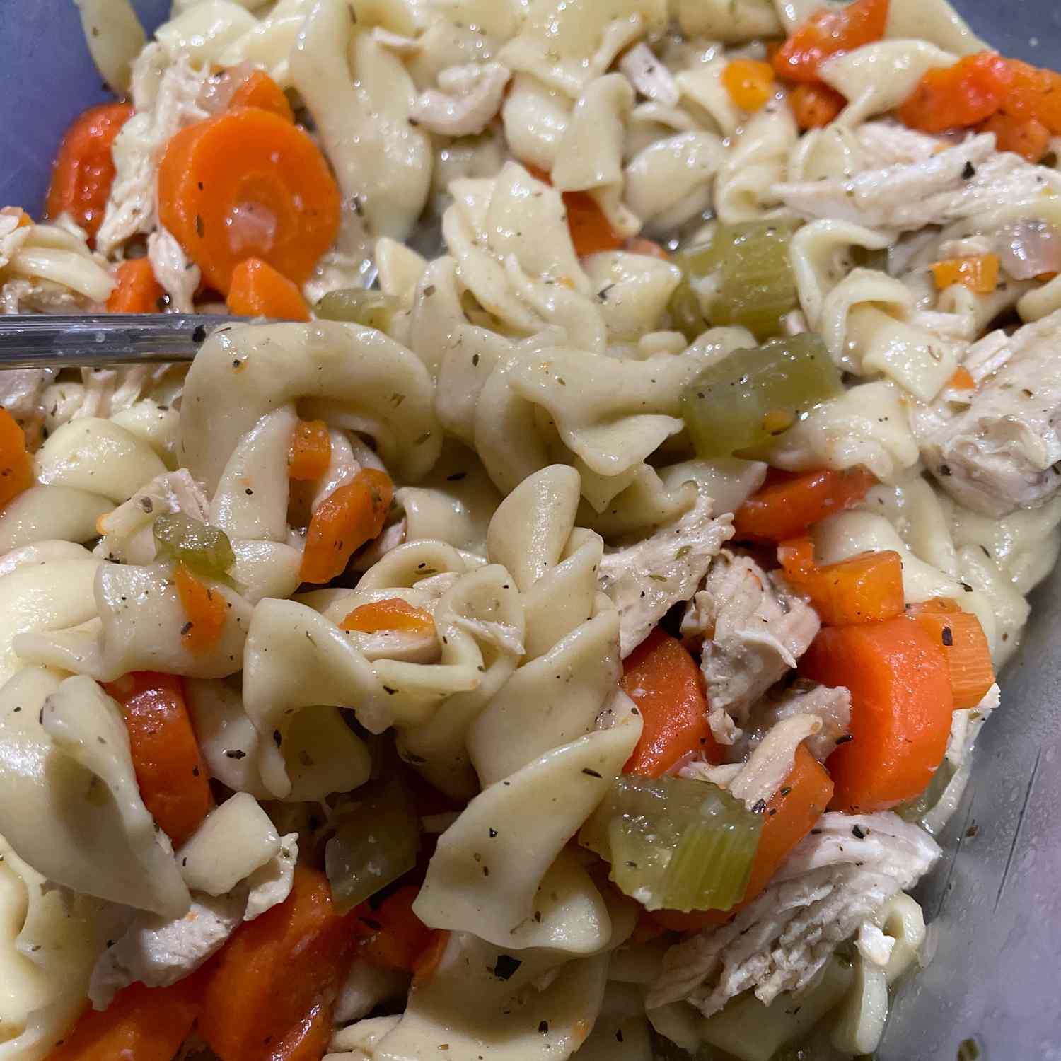 Easy Instant Pot Chicken Noodle Soup Recipe