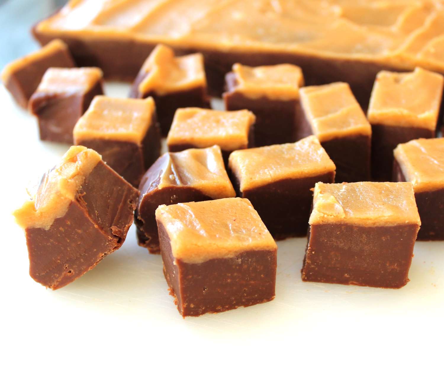 Peanut Butter and Chocolate Fudge Recipe