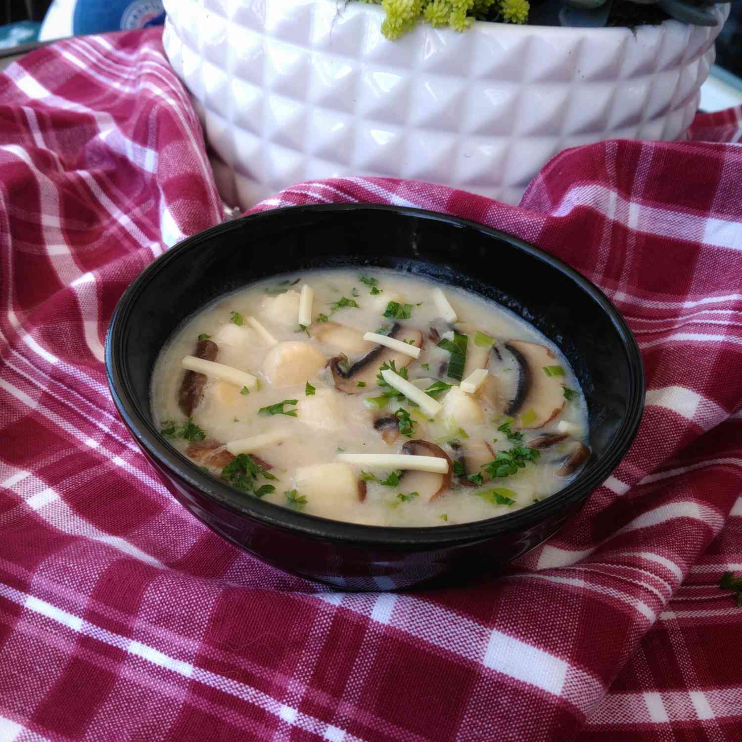 Creamy Scallop Chowder Recipe