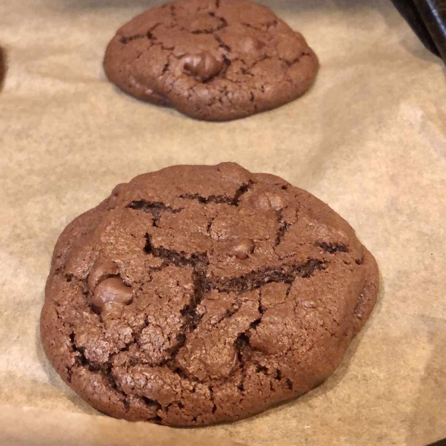 Chocolate Chocolate Chip Cookies Recipe