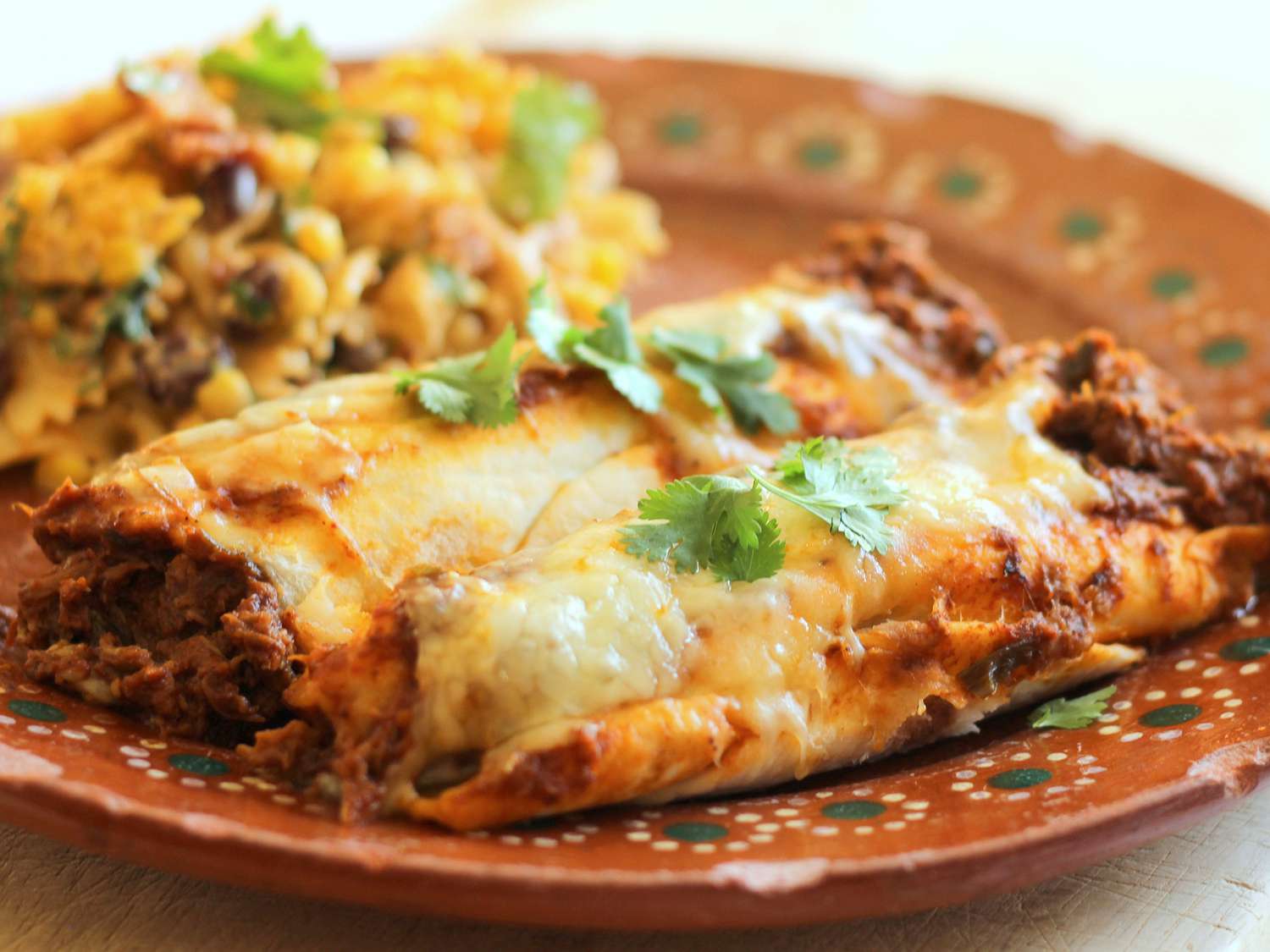 Carne Asada Enchiladas Recipe