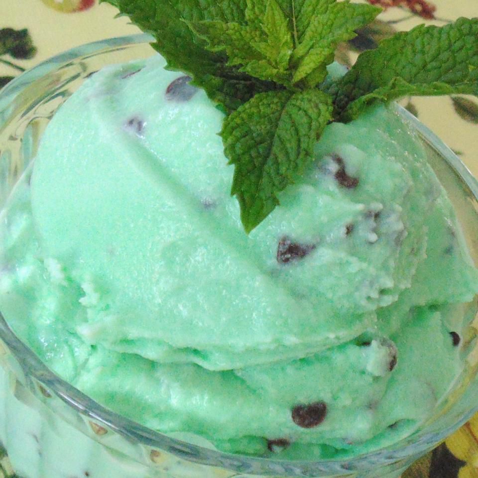 Easy Mint Chocolate Chip Ice Cream Recipe