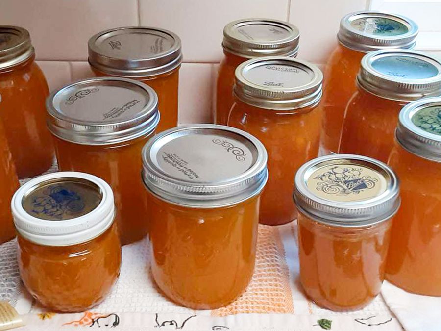 Nectarine Jam Recipe