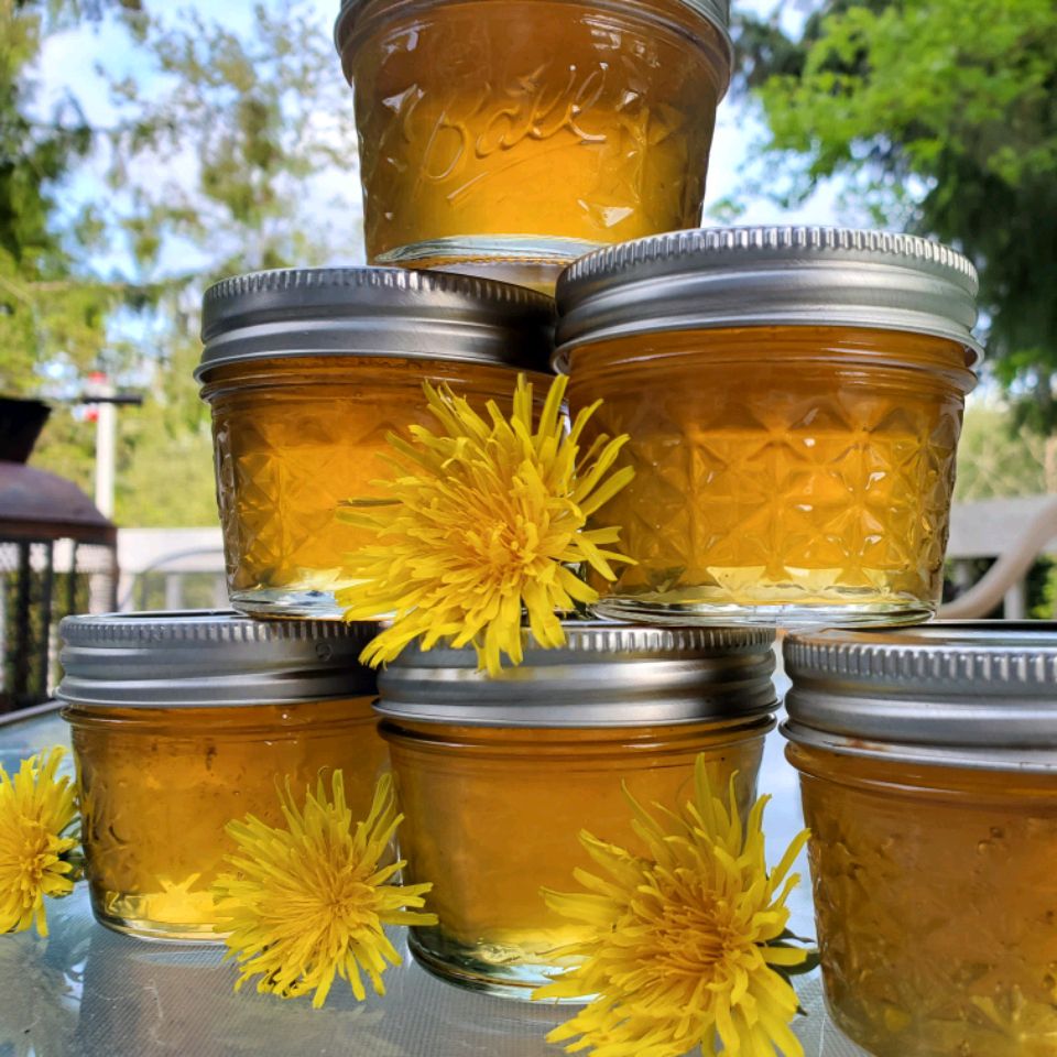 Dandelion Jelly Recipe