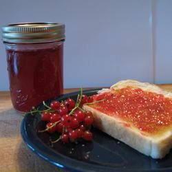 Red Currant Jelly Recipe