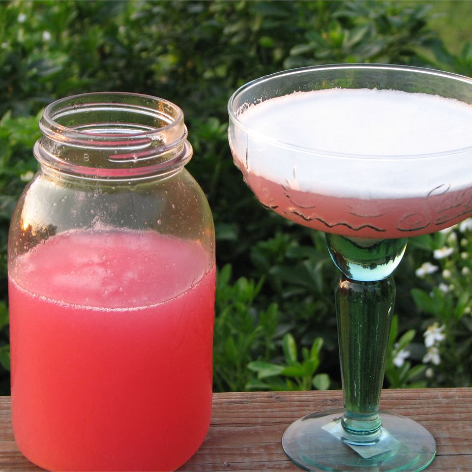 Rhubarb Margarita Recipe