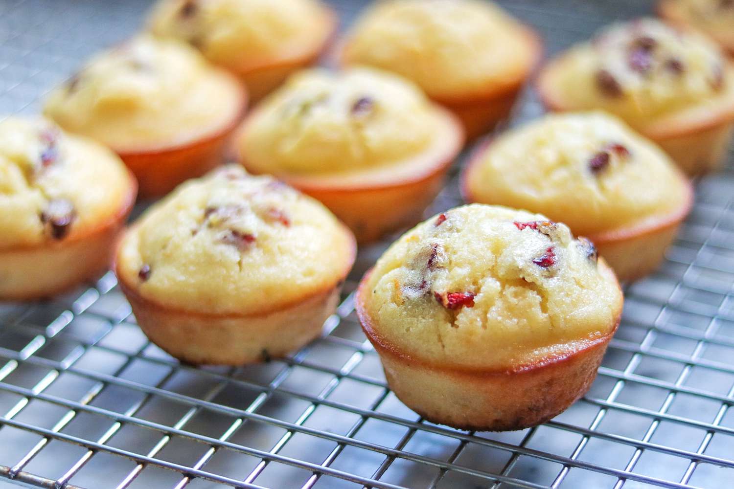 Easy Cranberry Orange Muffins Recipe