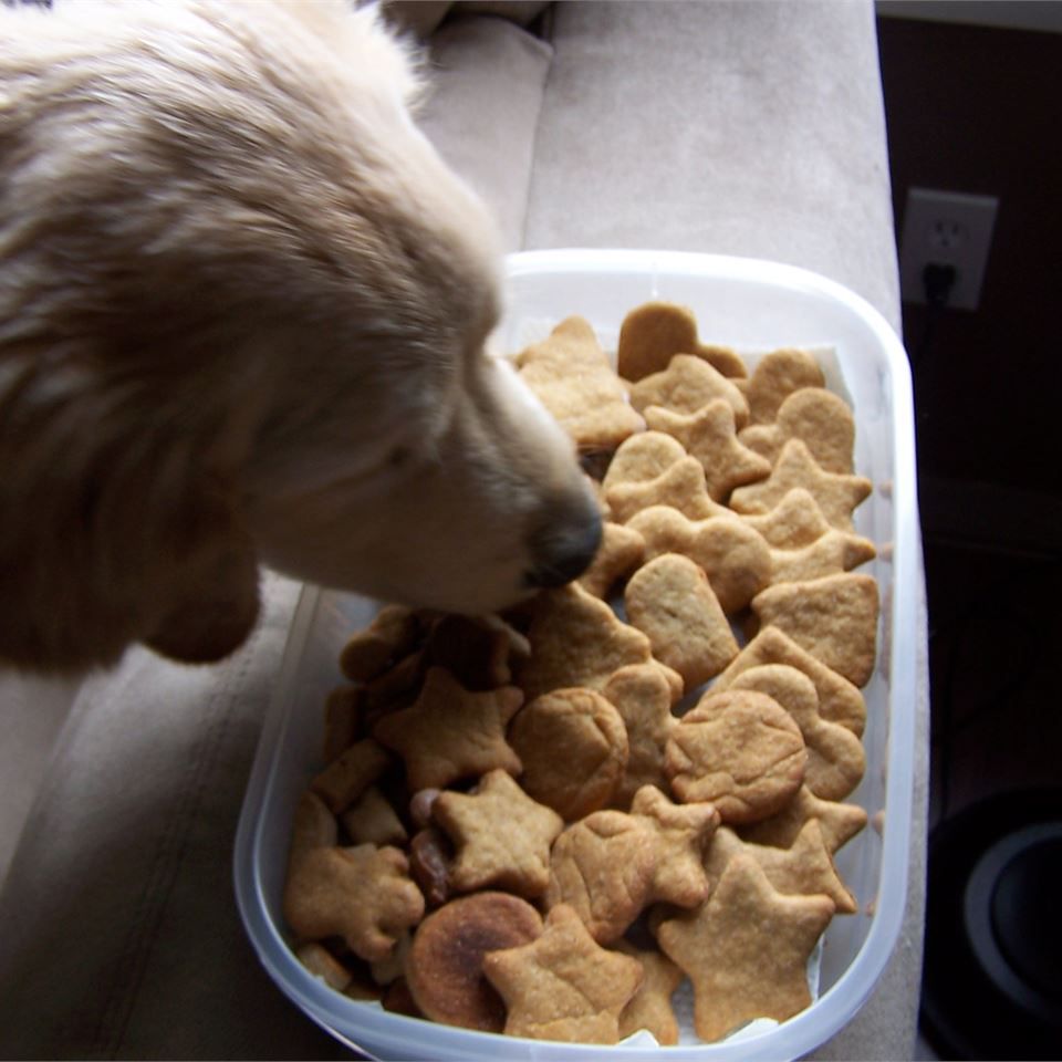 Good Dog Cookies Recipe