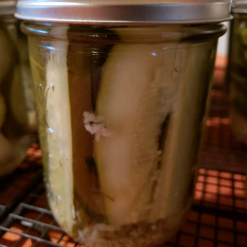 Blue Ribbon Horseradish Pickles Recipe