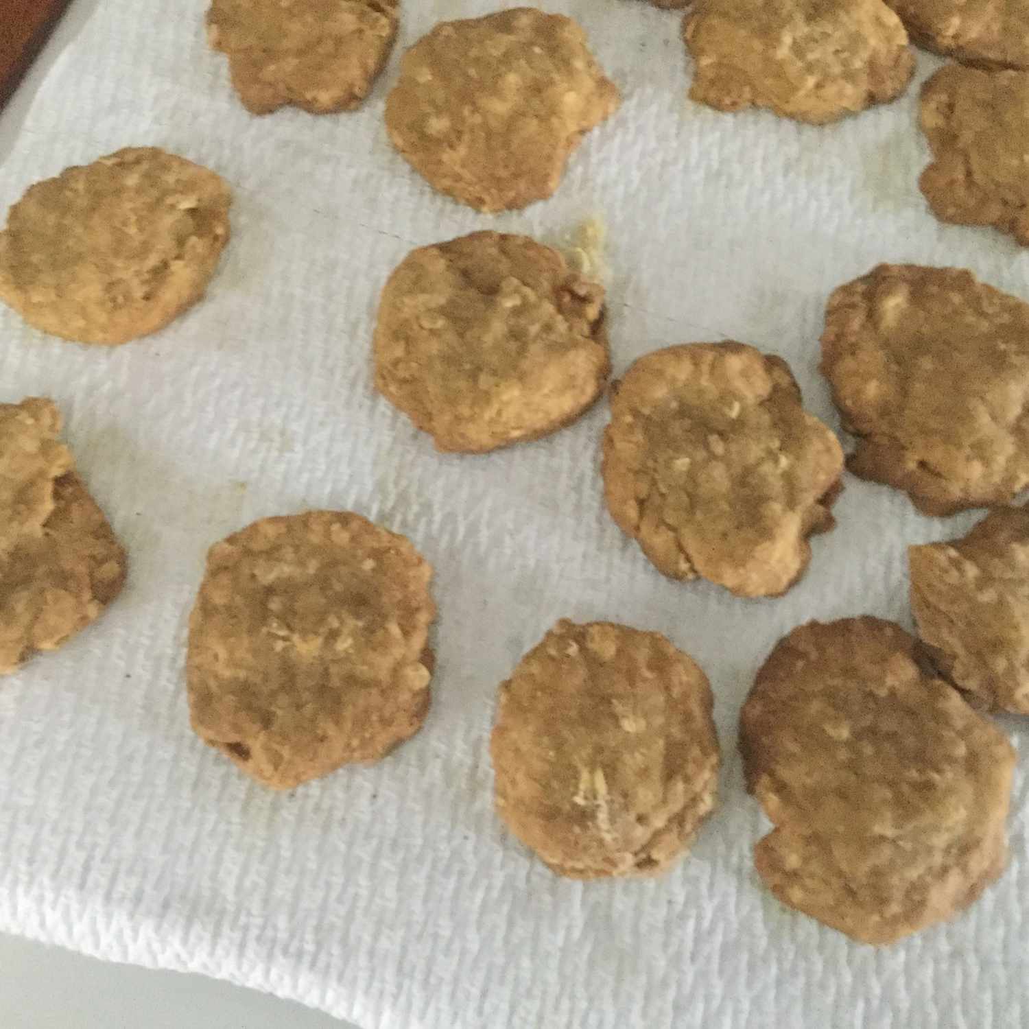 Delicious Dog Treats Recipe