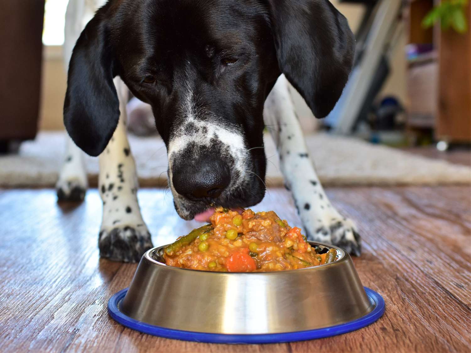 Homemade Dog Food with Meat and Vegetables Recipe