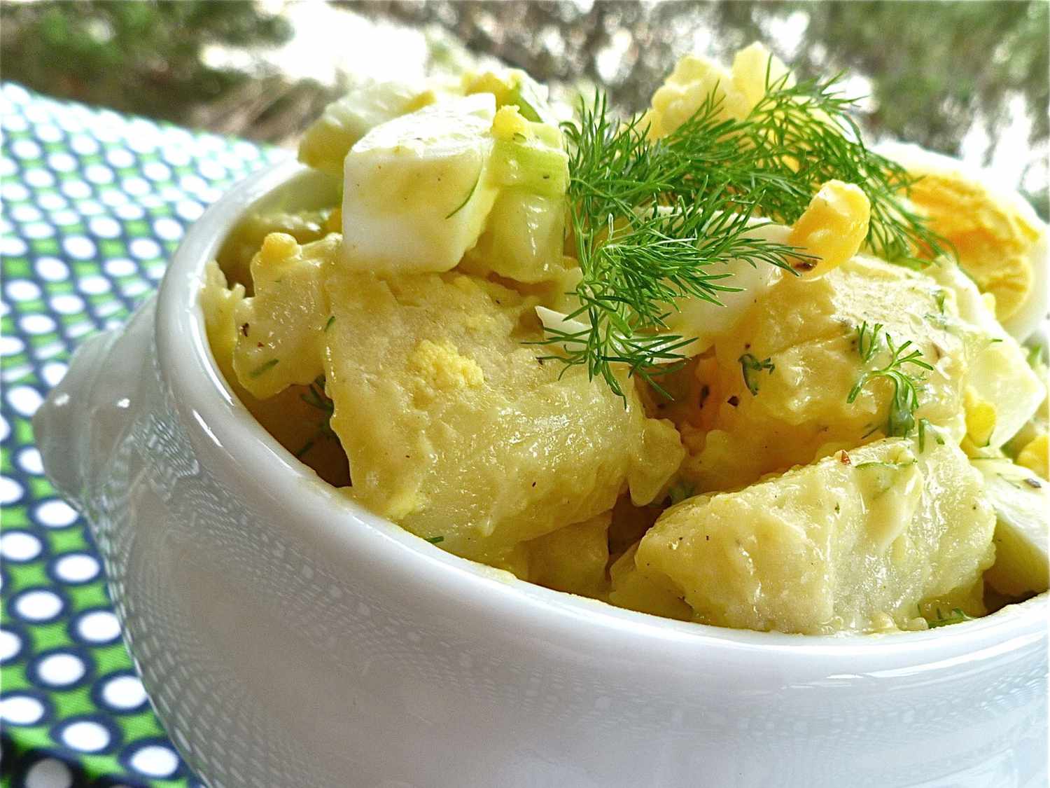 Pressure Cooker Potato Salad Recipe